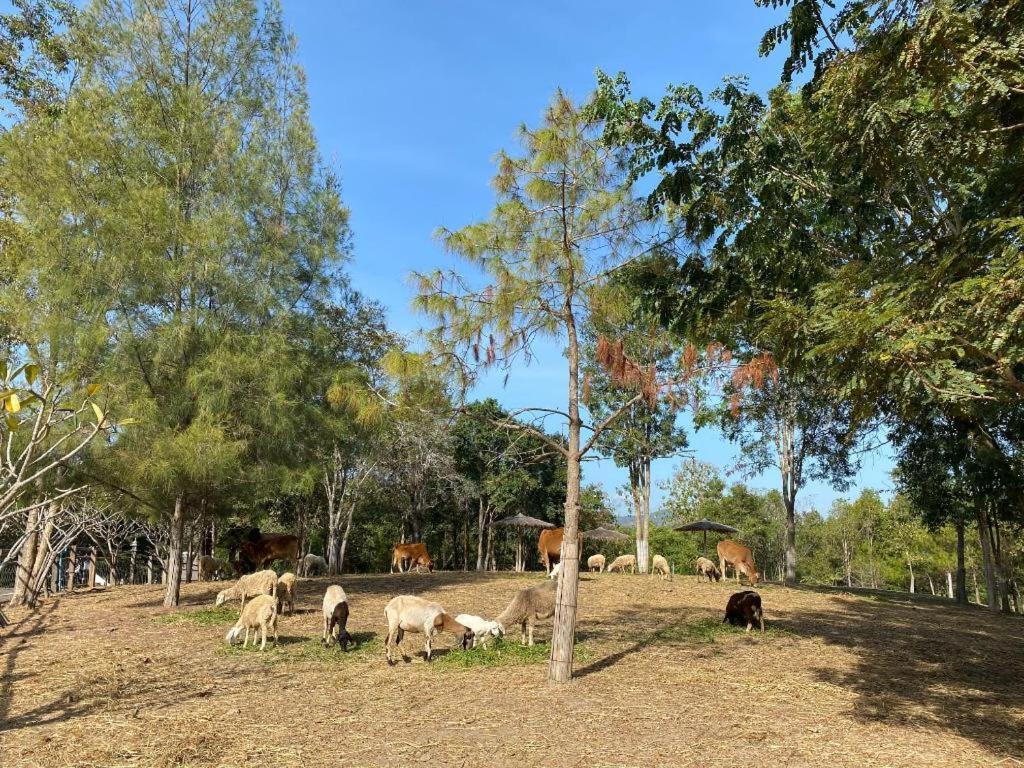 Ruean Racha Otel Chiang Mai Dış mekan fotoğraf